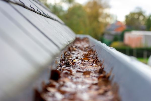 Commercial Gutter Cleaning in Sun City West