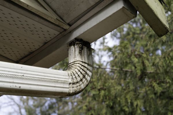 Downspout Cleaning in Sun City West