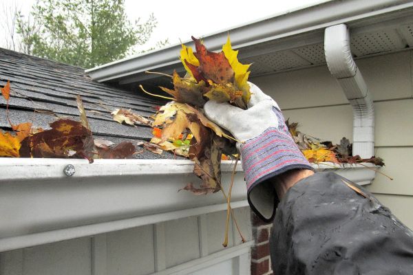 Leaf Gutter Cleaning in Sun City West