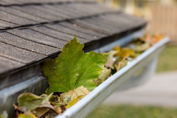 Cost of Gutter System Cleaning in Sun City West