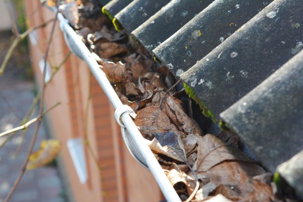 Cost of Home Gutter Cleaning in Sun City West