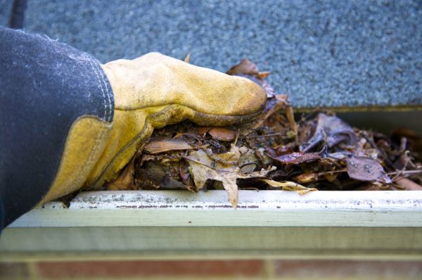 Jammed Gutter Cleaning in Sun City West