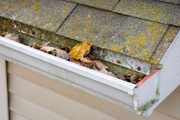 Garage Gutter Cleaning in Sun City West