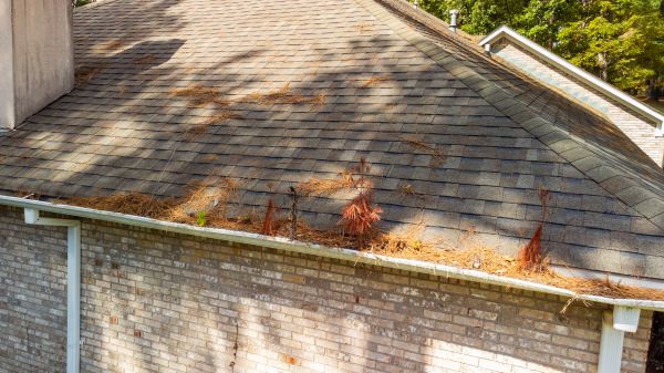 Gutter Pine Needle Removal in Sun City West