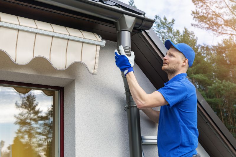 Gutter Maintenance detail