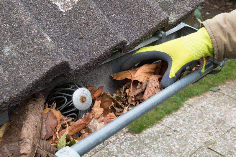 Gutter Flushing