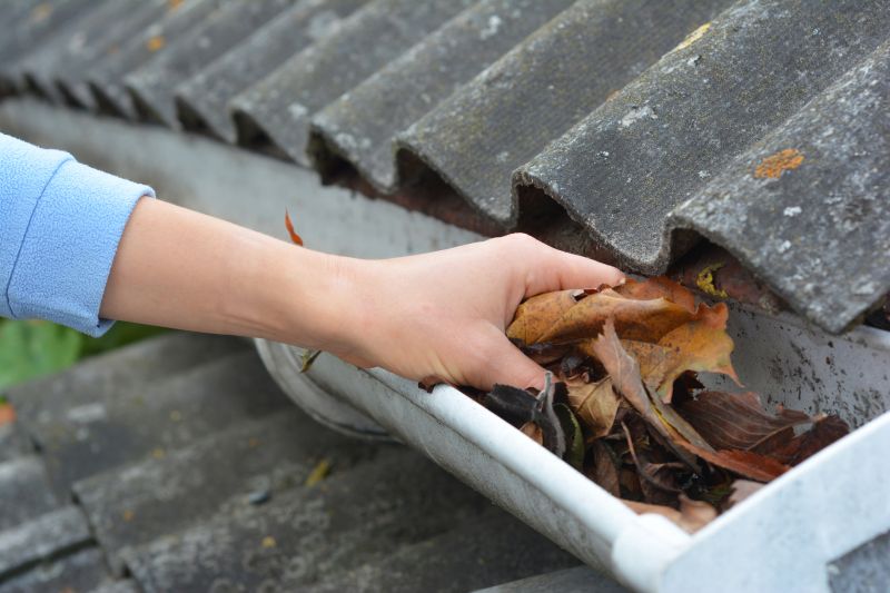 Gutter Leaf Clearing